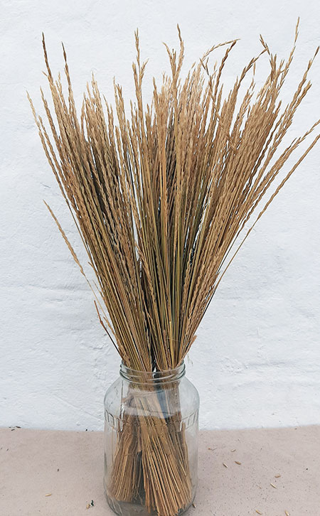 Колоски природні