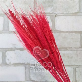 Колоски природные красного цвета для декора