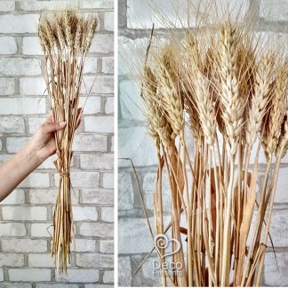 Колоски пшеница, рожь, жито в пучке для декора