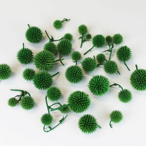 Сухоцвіт природний кульки зелені мордовник