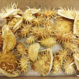 Набір природних сухоцвітів колючки для декору