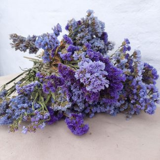 Натуральний сухоцвіт статиця