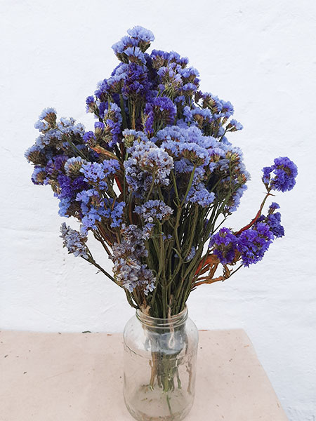 Натуральний сухоцвіт статиця