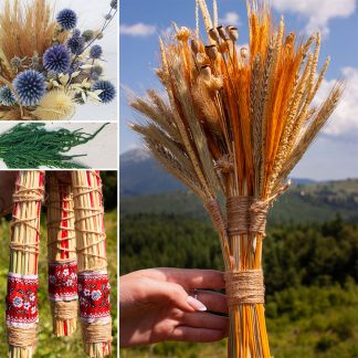 Сухоцвіти для декору