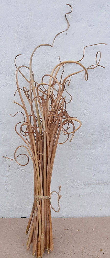 Натуральний сухоцвіт кручені вуса