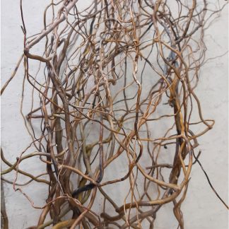 Гілки кручені верба для декору інтер'єру